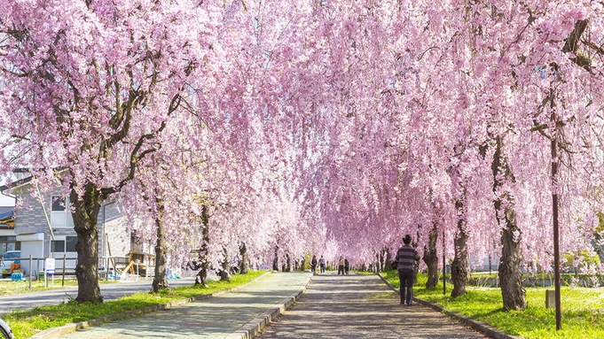 ■春限定■会津名所しだれ桜と天然温泉で春爛漫！＜馬刺し皿盛＋朝食おにぎりセット変更可＞